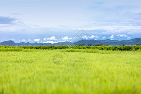 绿色草地和蓝色天空上有云的小型山丘的柔软焦点和图片