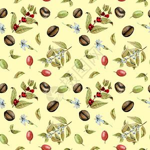 含咖啡红豆和绿咖啡豆水彩花朵枝的无缝结构图片