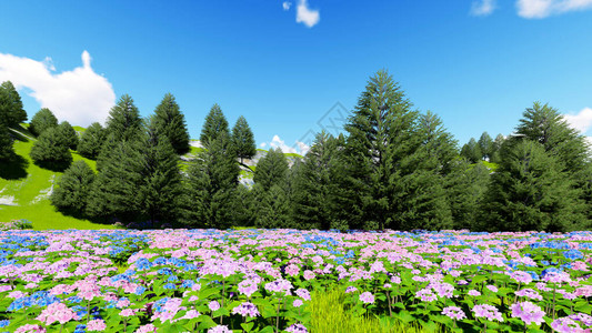 山草坪花3D渲染背景图片