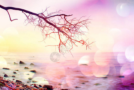 胶片谷物效果浪漫气氛海洋多彩的日落水面镜子里有红树和热粉红色图片