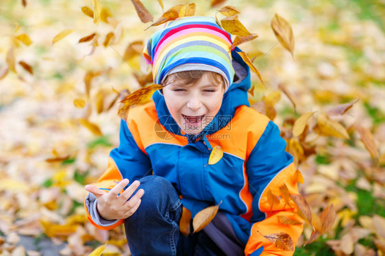 快乐可爱的小孩男与秋天的肖像在五颜六色的衣服中留下背景有趣的孩子在寒冷的秋日在秋天的森林或公图片
