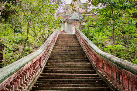 通往丛林森中佛教寺庙的楼梯启蒙之路背景图片