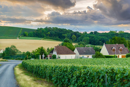 法国蒙塔涅德雷姆山日落时的乡村农和图片