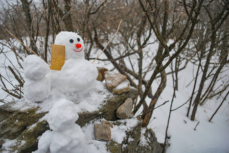 美丽自然冬季下雪覆图片