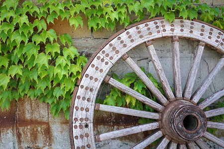 古董和风化木柴车轮图片