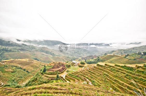 龙胜梯田景观图片