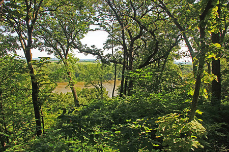 在奥马哈附近的内布拉斯加州贝尔维尤Fontenelle森林自然中心图片