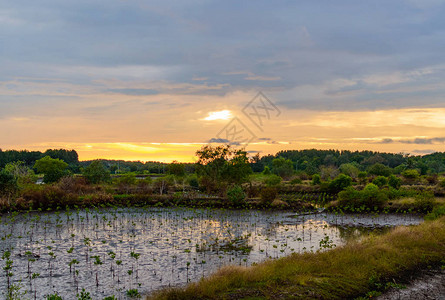 泰国农村日落背景的美景全风云多图片