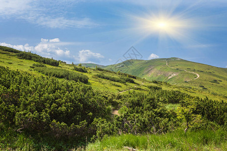 阿尔卑斯山脉的古德风景图片