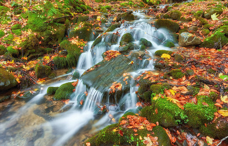 山河上美丽的瀑布在多彩的秋天森林中图片