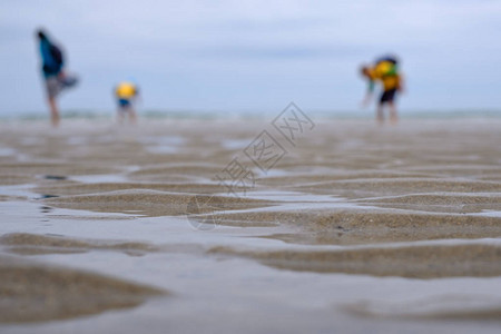 海沙滩背景中的人浅背景图片