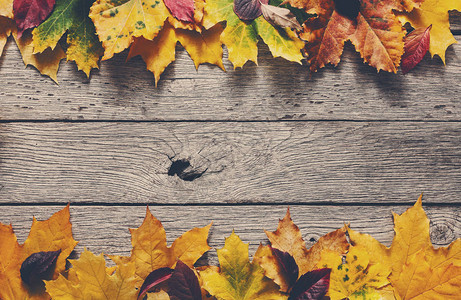 秋季背景黄色的木质叶有生锈的木材背景图片