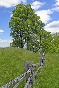 北卡罗来纳州蓝海脊公园道一带的山地草背景图片