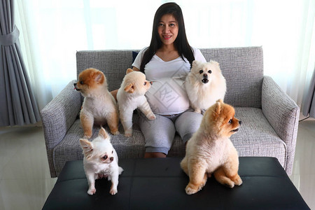 坐在客厅沙发家具上的女怀孕妇女9个月和小狗可爱宠物图片