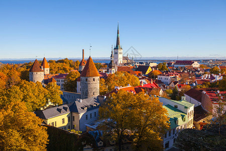 爱沙尼亚的老城塔林阳光明媚的秋图片