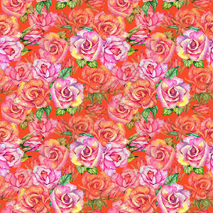 水彩风格的野花玫瑰花朵图案图片