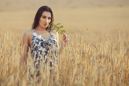 在一个小麦田的村子里的女背景图片