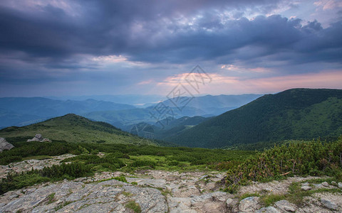 在阳光下发光的树林的壮丽景色戏剧和风景如画的早晨场景地点图片