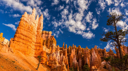 BryceCanyon风景图片