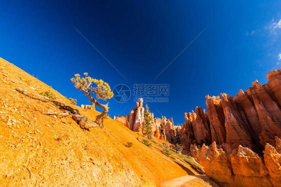 BryceCanyon风景图片