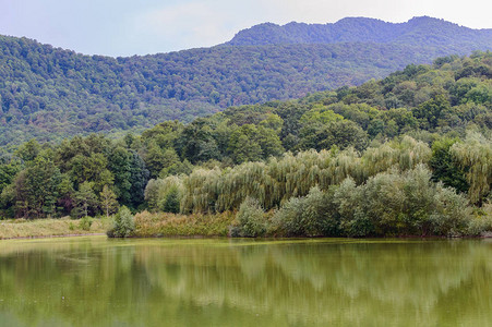 俄罗斯绿水的小山湖图片