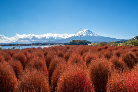 日本富士山的秋天河口湖是日本观赏富士山风景的图片