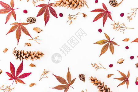边框由秋叶干花和松果制成背景图片