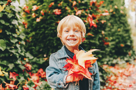 可爱的小男孩的秋天画像拿着红叶孩子享图片
