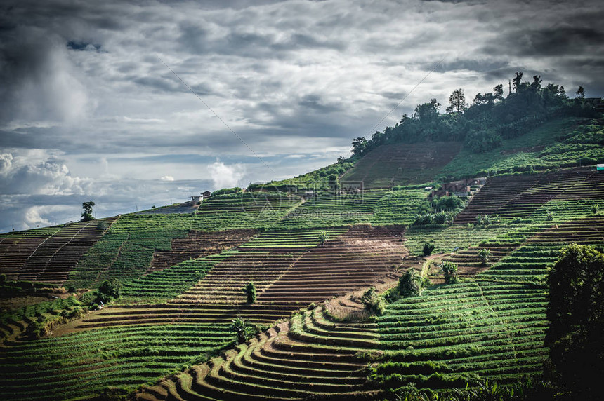 孟湛孟果酱高清图片下载正版图片507413577摄图网