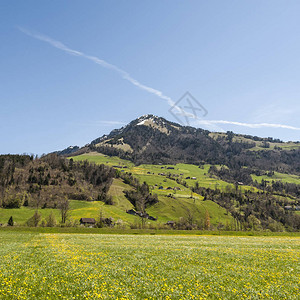 瑞士的农业开阔的草原和牧场图片