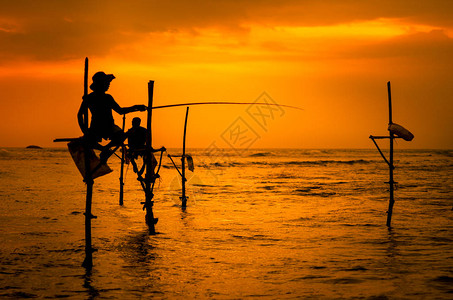 传统渔民在斯里兰卡日落时的轮椅Slican图片