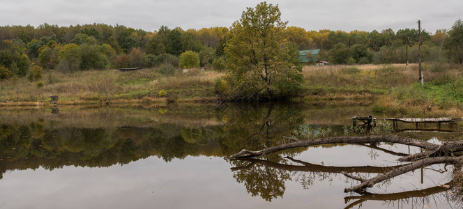 秋天的池塘在森林里全景图片