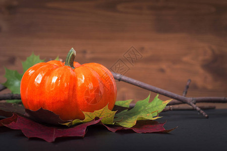 秋叶上的南瓜在黑色石板头和木头背景上图片