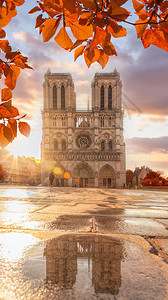 法国巴黎有秋叶的巴黎圣母院图片