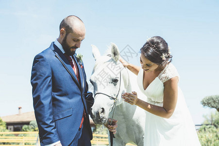 新婚结的夫妇与美丽的马图片