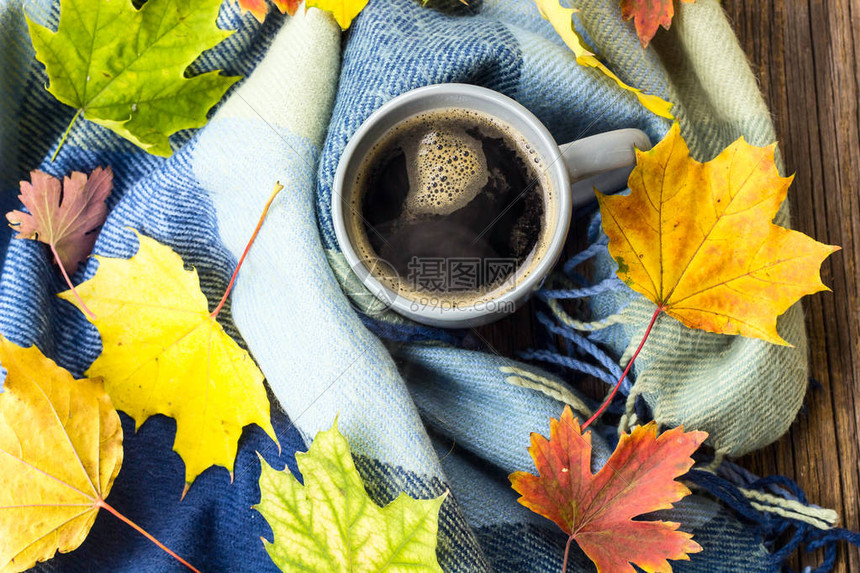 静物一杯咖啡和秋叶格子图片