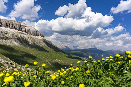 六月的多洛米蒂山的美丽景色图片