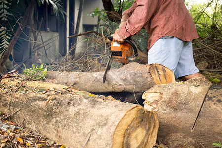 森林木材专业电锯刀片切割日志图片