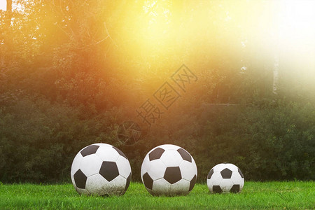 三个足球在绿草地上排成一排体育比赛高清图片