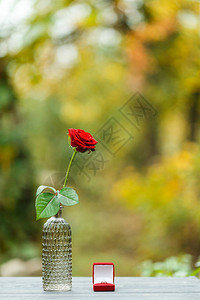 带红玫瑰和戒指的求婚背景图片