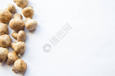 白色新鲜蘑菇白辣椒顶层风图片