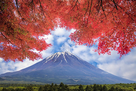 日本河口湖日出时的秋天富士山富士山图片