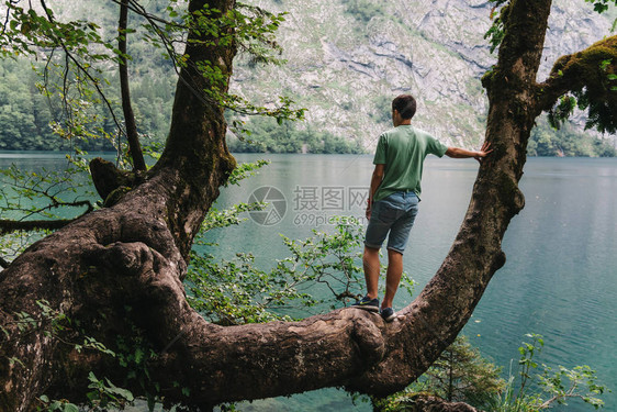 年轻成年男子站在树枝的树枝上看着山崩中的美图片