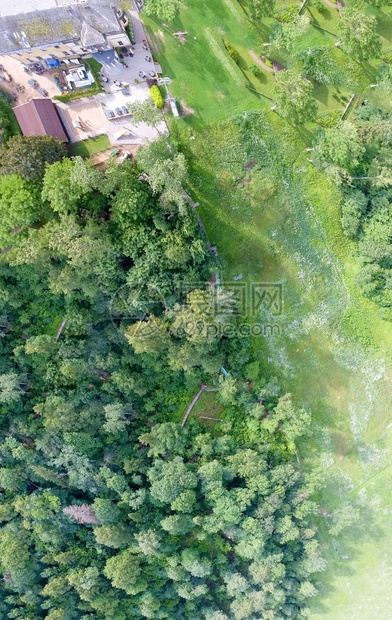 俯瞰森林和房屋的全景图片