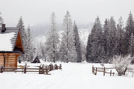 山中美丽的雪景圣诞节的冬日美景图片