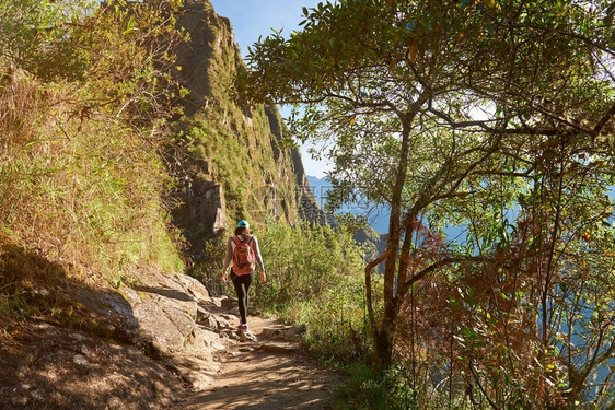 妇女走在森林山路上阳光照图片