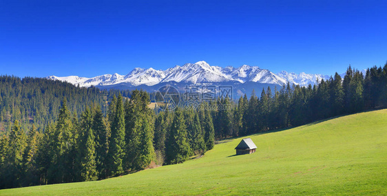 在雪山背景上的绿色高山谷全景阿尔卑斯山阳光明媚的夏日在风景如画的山峰上的蓝天经图片