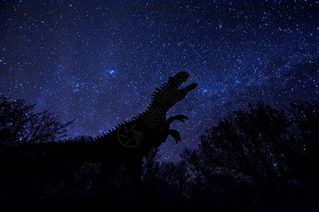 在夜空背景下黑森林上星光照亮的银河中图片