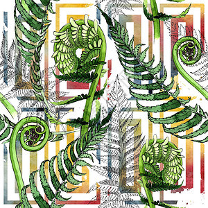 水彩风格的热带蕨叶图案背景纹理包装图案框架或边框图片