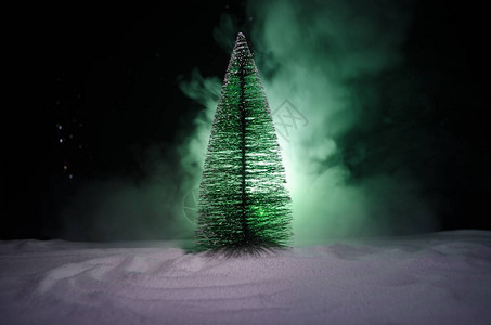 圣诞背景与白雪皑的枞树雪覆盖的圣诞树在这个被雪覆盖的场景的深蓝色